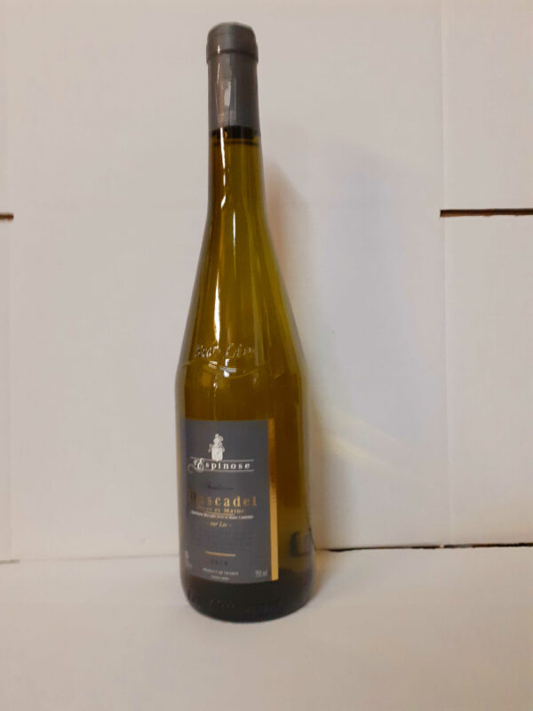 Muscadet ~ Sèvre et Maine sur Lie ~ Vin blanc  ~ 12°